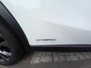 Lexus UX 250h F Sport - Image 12