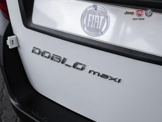 Fiat Doblo Maxi 1.6 Multijet panel van