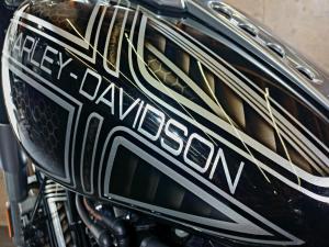 Harley Davidson FAT BOY - Image 8