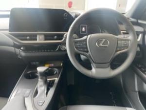 Lexus UX 250h EX - Image 13