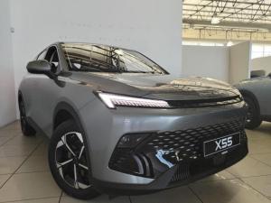 2024 BAIC Beijing X55 1.5T Dynamic