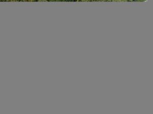 Opel Corsa 1.4 Essentia - Image 4