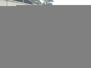Hyundai Grand i10 1.0 Executive hatch - Image 2