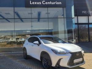 2024 Lexus NX 250 EX