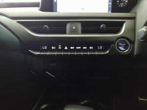 Lexus UX 250h F Sport - Image 17
