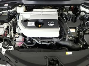 Lexus UX 250h F Sport - Image 23