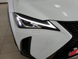 Lexus UX 250h F Sport - Image 28
