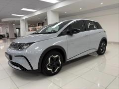 BYD Cape Town Dolphin Dynamic Standard Range