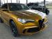 Alfa Romeo Stelvio Quadrifoglio Q4 - Thumbnail 1