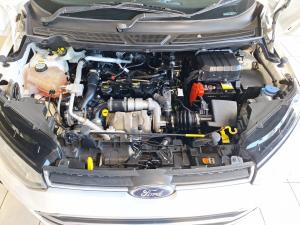 Ford EcoSport 1.5TDCi Trend - Image 17