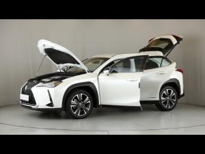 Lexus UX 250h SE - Image 12
