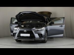 Lexus RX 500h F Sport - Image 13