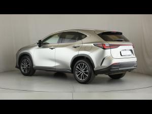 Lexus NX 250 EX - Image 8
