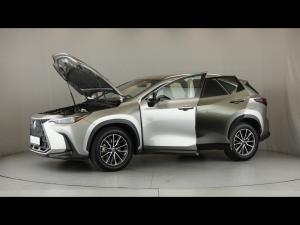 Lexus NX 250 EX - Image 12