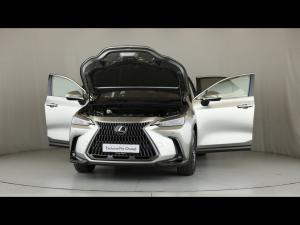 Lexus NX 250 EX - Image 13