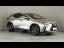 Thumbnail Lexus NX 250 EX