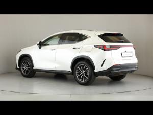 Lexus NX 250 EX - Image 8