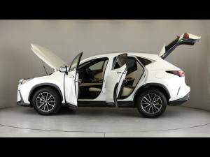 Lexus NX 250 EX - Image 11