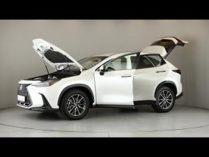 Lexus NX 250 EX - Image 12