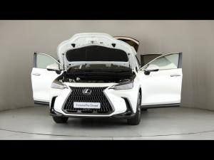 Lexus NX 250 EX - Image 13