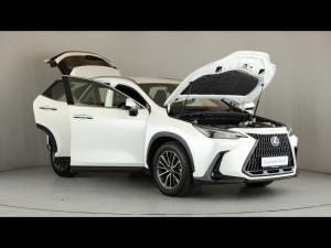 Lexus NX 250 EX - Image 14