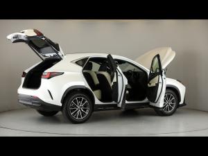 Lexus NX 250 EX - Image 16