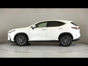 Lexus NX 250 EX - Image 17