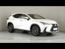 Thumbnail Lexus NX 250 EX