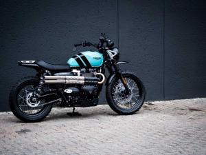 Triumph Scrambler 900 - Image 1