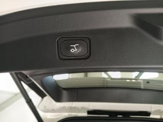 Ford Everest 3.0TD V6 4WD Wildtrak