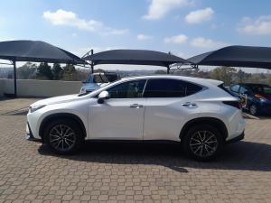 Lexus NX 250 EX - Image 23