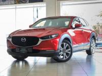 Thumbnail Mazda CX-30 2.0 Individual Edition