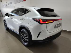 Lexus NX 250 EX - Image 20