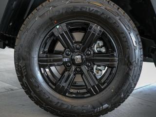 GWM Tank 300 2.4T Luxury