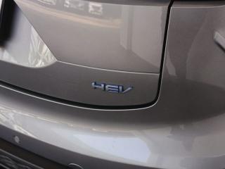 Haval Jolion Pro 1.5 HEV Ultra Luxury