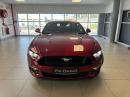 Thumbnail Ford Mustang 5.0 GT fastback auto