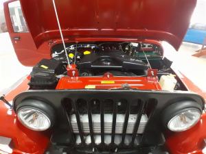 Mahindra Thar 2.5 NEF 4X4 Adventure - Image 9