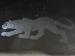 Ford Puma 1.0T ST-Line Vignale - Thumbnail 24