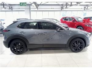 Mazda CX-30 2.0 Individual Edition - Image 9