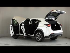 Lexus NX 300 F Sport - Image 25