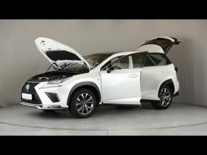 Lexus NX 300 F Sport - Image 27