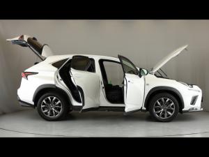 Lexus NX 300 F Sport - Image 30