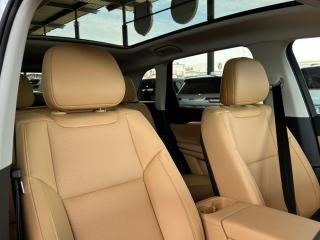 Leapmotor C10 REEV Design