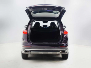 Chery Tiggo 8 Pro 1.6TGDI 290T Executive - Image 2