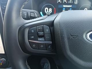 Ford Everest 3.0TD V6 4WD Platinum