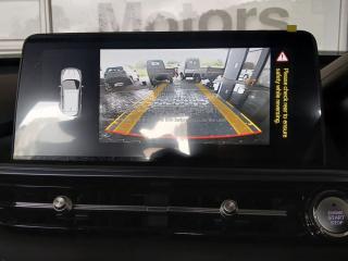 Chery Tiggo 4 Pro 1.5 LiT manual