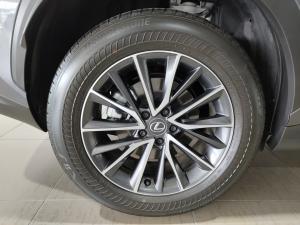 Lexus NX 250 EX - Image 19