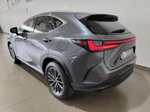 Lexus NX 250 EX - Image 21