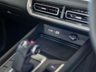 GWM P300 2.4T double cab LS