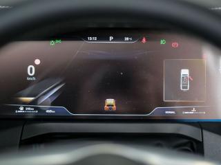 GWM Tank 300 2.4T Luxury